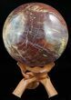 Colorful Petrified Wood Sphere - Madagascar #52442-1